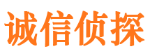 莱山市私家侦探